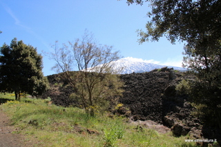 nte Egitto-29-04-2023 09-45-36